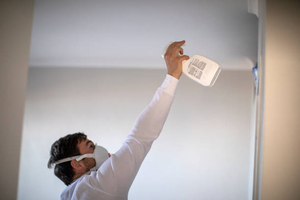 Best Mold Remediation  in Canutillo, TX